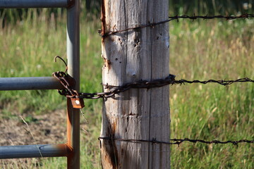 Closed steel tube gate locked to a wooden post with a rusty chain & lock. Three barbed wires encircle the  post and run off frame to the right