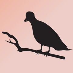 silhouette of a bird perched on a branch