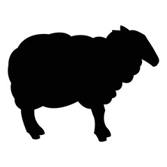 silhouette of sheep