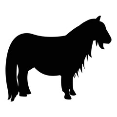 Fototapeta premium silhouette of horse