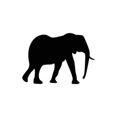 silhouette of elephant
