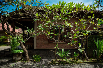 Balinese traditional house with terrace and compound.