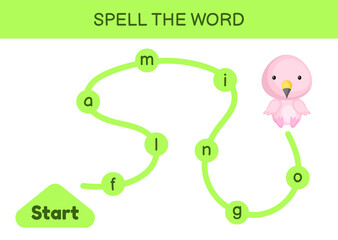 Maze for kids. Spelling word game template. Learn to read word flamingo, printable worksheet. Activity page for study English.  Educational activity for development of children. Vector illustration.