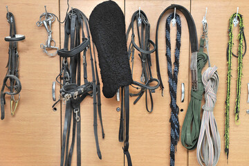 Horse bridles and other harness in the stable.