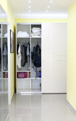 Apartment, house interior hallway with full cabinet, wardrobe and wall mirror
