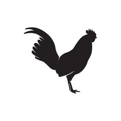 silhouette of a rooster