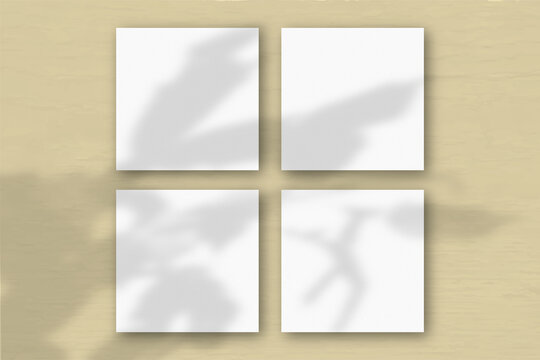 4 square sheets of white textured paper on the yellow wall background. Mockup overlay with the plant shadows. Natural light casts shadows from an exotic plant. Flat lay, top view - Powered by Adobe