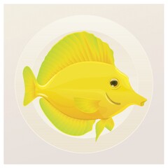 yellow tang