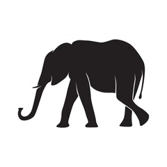 Fototapeta premium silhouette of an elephant