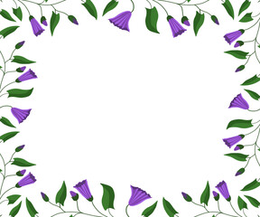Flower frame. Flowers and leaves of the field bindweed. Vector illustration