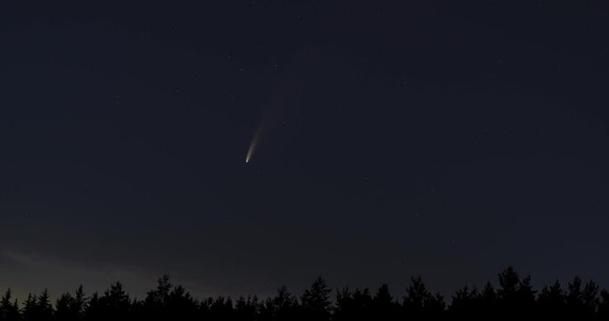 Comet C/2020 F3 NEOWIS flies through the night starry sky against the background of a forest and dawn stratospheric silver clouds.