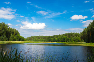 Fototapeta na wymiar Summer lake landscape, nature background