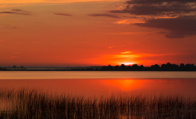 Obraz premium Summer lake at dawn, nature background.