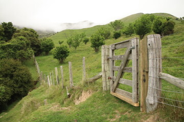 Fenceline on a farm