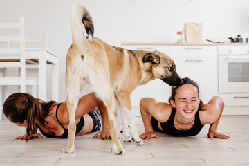 Two girls go in for sports at home in the kitchen, a dog is running nearby. Women are stretching....