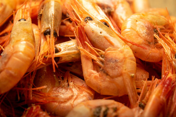 Cooked Atlantic shrimps. Close up. A traditional food of coastal cuisine.