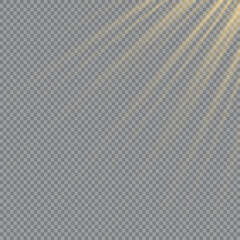 Vector transparent sunlight special lens flash light effect front sun lens flash. Vector blur in the light of radiance. Element of decor. 