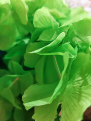 Obraz premium artificial flowers made of background loseup, selective focus, noisy filter, blurred background