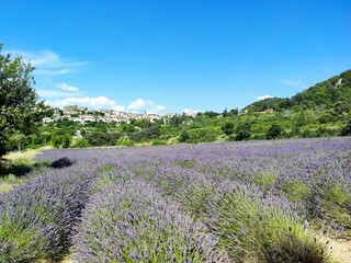 Naklejka na ściany i meble Balade en Provence - Saignon