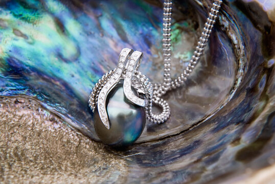 White gold pendant with Tahitian Pearl and diamonds on Rainbow Lip Pearl Oyster (Pteria sterna)