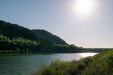 Beautiful nature and summer forest of Taehwa River in Ulsan, South Korea