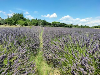 Balade en Provence -  Saignon