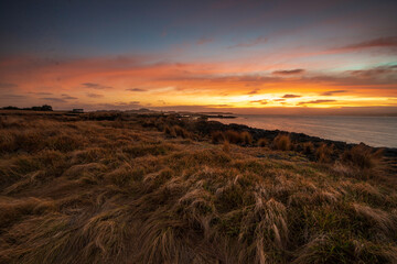 Ambury National park Auckland New Zealand 
