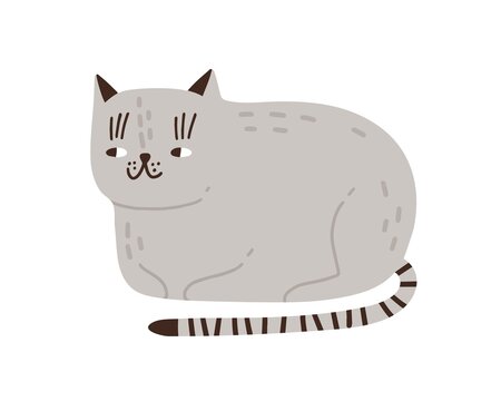 Funny childish gray cat vector flat illustration. Cute domestic animal with striped tail isolated on white background. Cheerful pet lying hiding paws under body. Cunning feline character