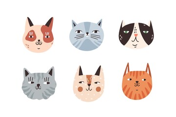 Fototapeta premium Set of different breeds cat muzzle vector flat illustration. Collection portraits of various cute childish domestic animals isolated on white. Spotty and striped kitty heads with design elements