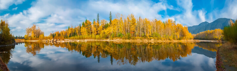 reflection of trees in water