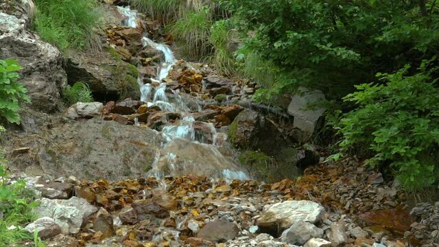 the tumultuous clear waters of a stream descend rapidly