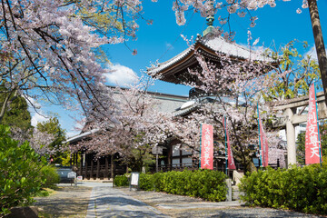 Honpo-ji  Temple in Kyoto, Japan. The Temple originally built in 1436.