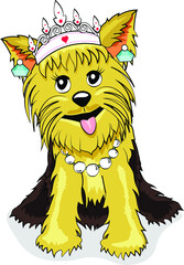 cute lovely Yorkshire Terrier Puppy wearing reckless earring tiara