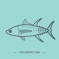 Obraz premium yellowfin tuna