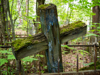 Fototapeta premium An old unattended cross covered with green moss. Cross closeup in the cemetery