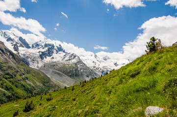 Obraz premium Piz Roseg, Val Roseg, Lej da Vadret, Piz Sella, Piz Glüschaint, Sellagletscher, Wanderweg, Berninagruppe, Oberengadin, Corvatsch, Murtèl, Alpen, Sommer, Graubünden, Schweiz