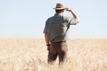 Farmer in a dry field of crop because the global warming looking for rain