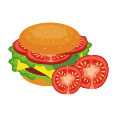 hamburger and tomatoes design, food eat restaurant and menu theme Vector illustration