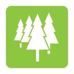 Fototapeta premium trees