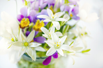 beautiful bouquet of delicate wild flowers anemones and violets