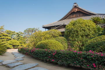 Fototapety na wymiar - Fototapeta24.pl