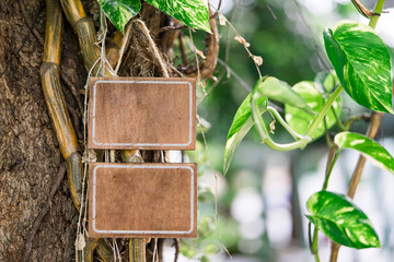 Blank wooden sign hanging on a big tree and green leaf bokeh background