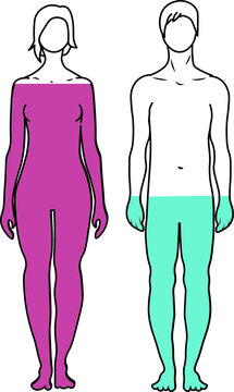 Male female level indicator chart element change colors levels
