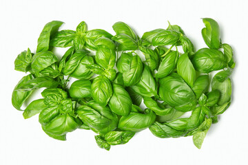 Basil leaves on a white isolated background. Fresh herbs, spices. Copy space, flat lay.
