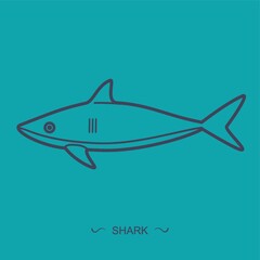Fototapeta premium shark