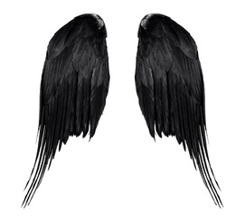 two real black angel wings with big feathers isolated on white background