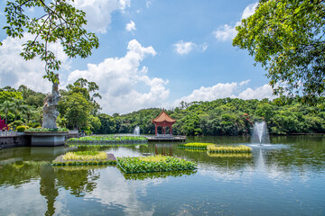 Fototapeta na wymiar Scenery of Lotus Lake in Lianhuashan Park, Panyu, Guangzhou, China