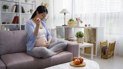 Pregnant woman with red apple sitting on couch in comfort bright living room at home. Smiling...