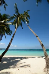 Behang Boracay Wit Strand Palms on White Beach. Boracay island. Western Visayas. Philippines