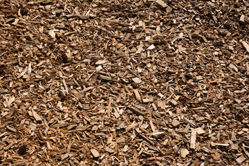 Mountain of fresh sawdust from a tree. Close up of a pile of wood chips